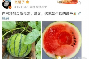 吃瓜娱乐圈吃瓜,吃瓜群众揭秘幕后真相
