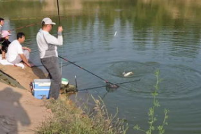 娱乐吃瓜钓鱼视频下载安装