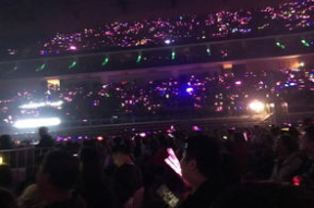 吃瓜猪娱乐演唱会,狂欢之夜，星光熠熠